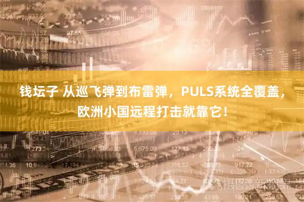 钱坛子 从巡飞弹到布雷弹，PULS系统全覆盖，欧洲小国远程打击就靠它！