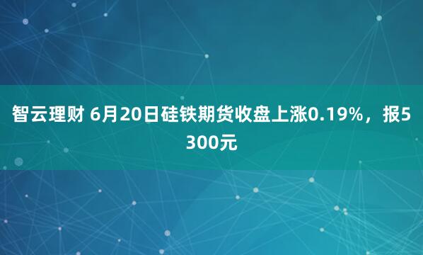 智云理财 6月20日硅铁期货收盘上涨0.19%，报5300元