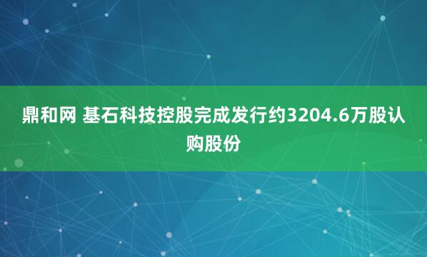 鼎和网 基石科技控股完成发行约3204.6万股认购股份